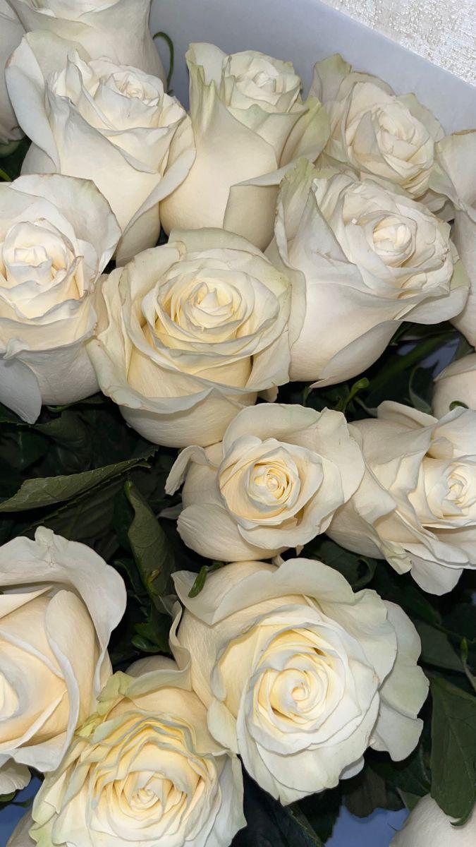 Velvet Petals: A Luxe Bouquet Reflection